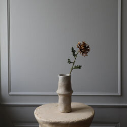 Semi-Cactus Dahlia blomst, brun, Botan&eacute;