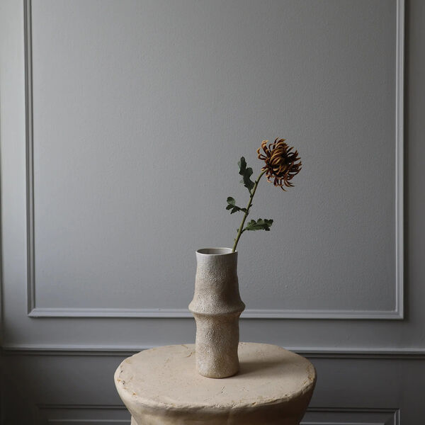 Semi-Cactus Dahlia blomst, brun, Botan&eacute;