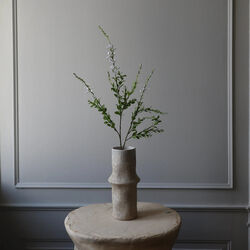 Wild blomst, hvit, Botan&eacute;