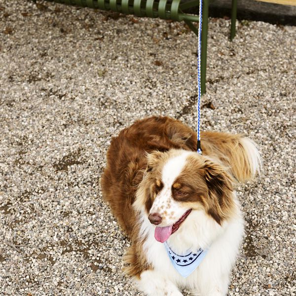 HAY Flettet Hundeb&aring;nd, lavender/green, HAY