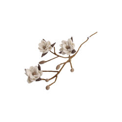 Magnoliagren med blomster, hvit, Gry & Sif