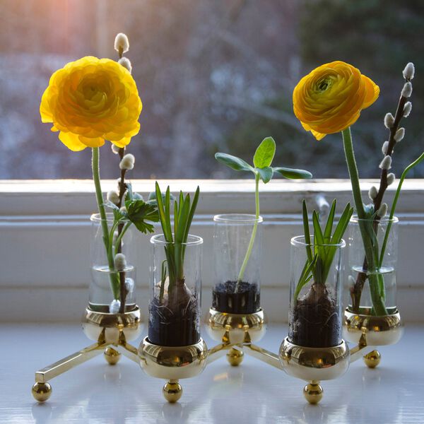 Constella vaseinnsats, Klong