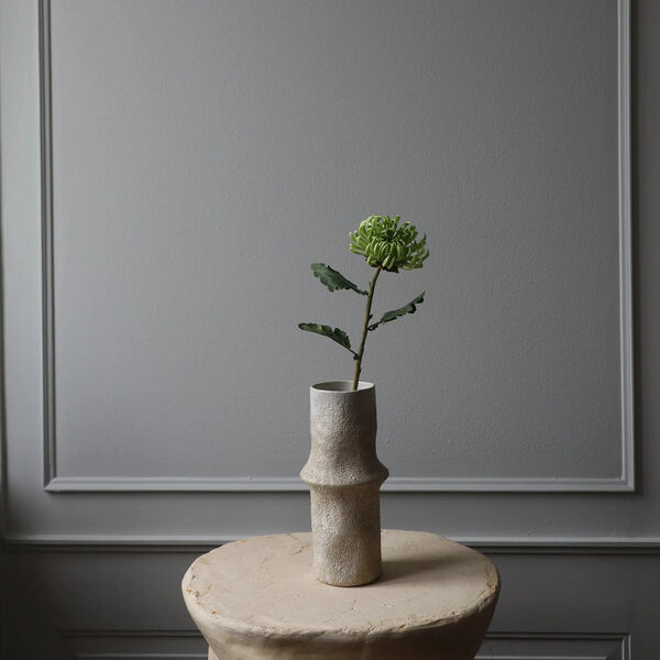 Semi-Cactus Dahlia blomst, gr&oslash;nn, Botan&eacute;