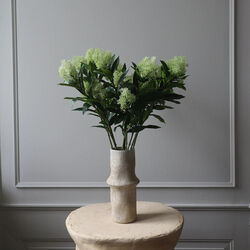 Skimmia Berry Branch, hvit, Botan&eacute;