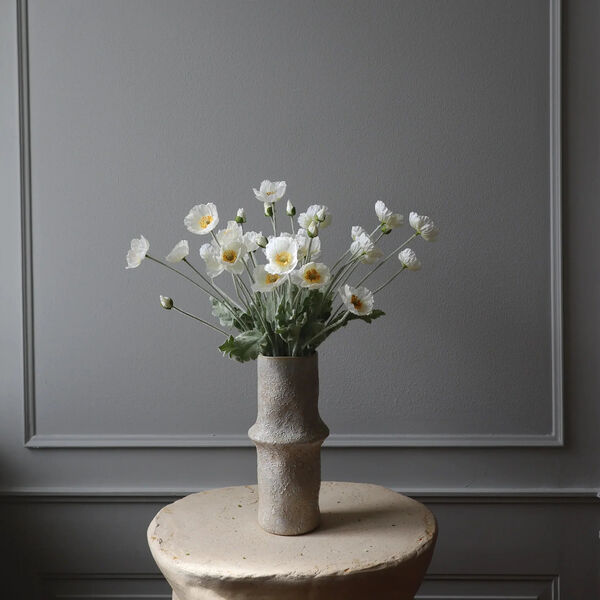 Poppy blomst, hvit, Botan&eacute;