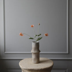 Poppy blomst, korall, Botan&eacute;