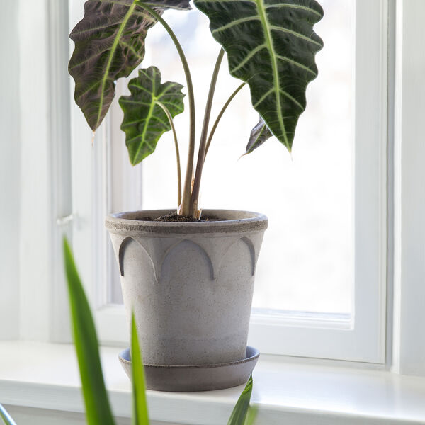 Elizabeth RAW potte med underfat, grey, Bergs Potter