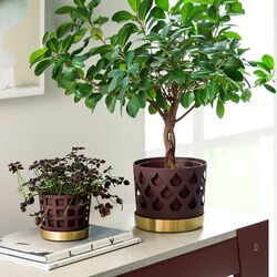 Trio Drop urtepotte medium, Klong