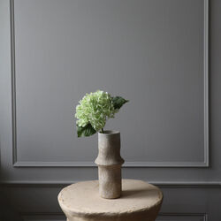 Hydrangea blomst, lysegr&oslash;nn, Botan&eacute;