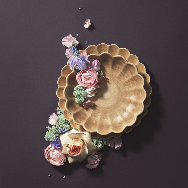 Oyster sk&aring;l 18x16 cm, cinnamon, Mateus