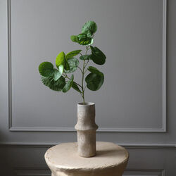 Plum Aralia blader, gr&oslash;nn, Botan&eacute;