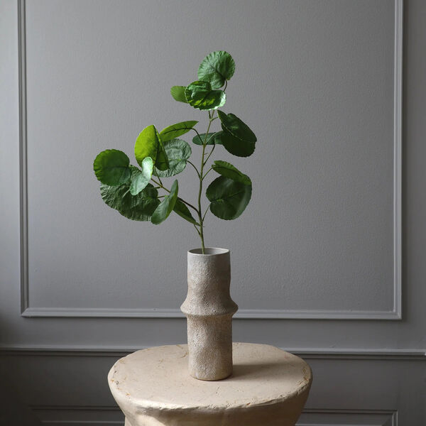 Plum Aralia blader, gr&oslash;nn, Botan&eacute;