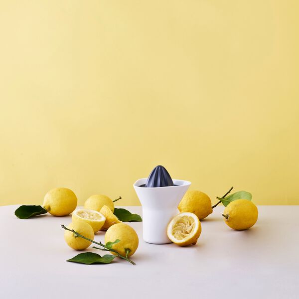 Sitruspresse, hvit/gr&aring;, RIG-TIG