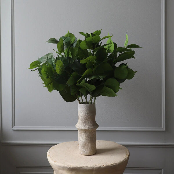 Hydrangea blader, gr&oslash;nn, Botan&eacute;