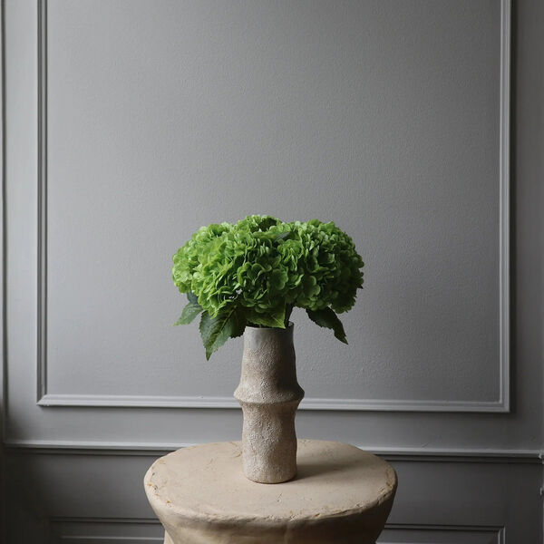 Hydrangea blomst, gr&oslash;nn, Botan&eacute;