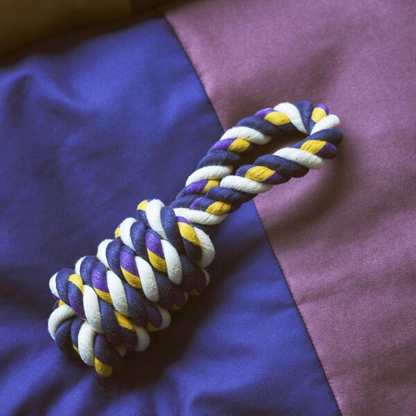 HAY Dogs Strikkleket&oslash;y, blue/purple/ochre, HAY