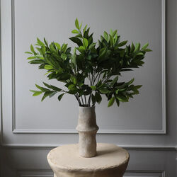 Ruscus blader, gr&oslash;nn, Botan&eacute;