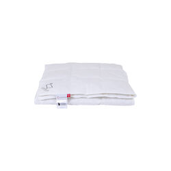 Klodshans hel&aring;rsdyne, sval, Ringsted Dun