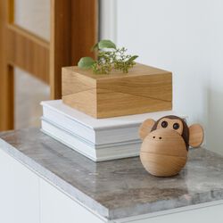 Apesk&aring;len, Spring Copenhagen