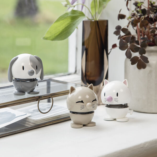 Katt, hvit, Hoptimist