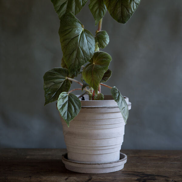 Planet RAW &Oslash; 12 cm krukke med underfat, grey, Bergs Potter