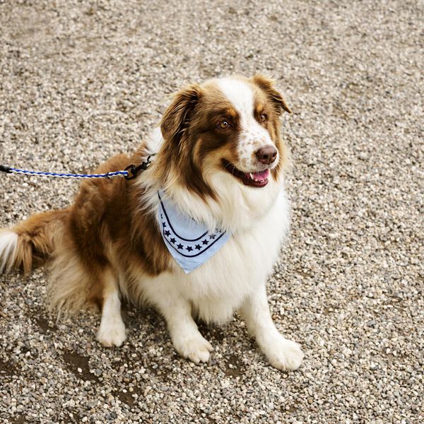 HAY Flettet Hundeb&aring;nd, blue/off-white, HAY