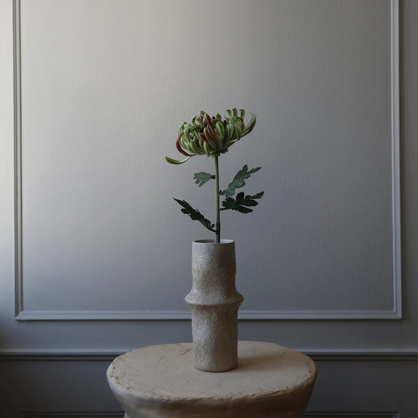 Chrysanthemum blomst, gr&oslash;nn, Botan&eacute;