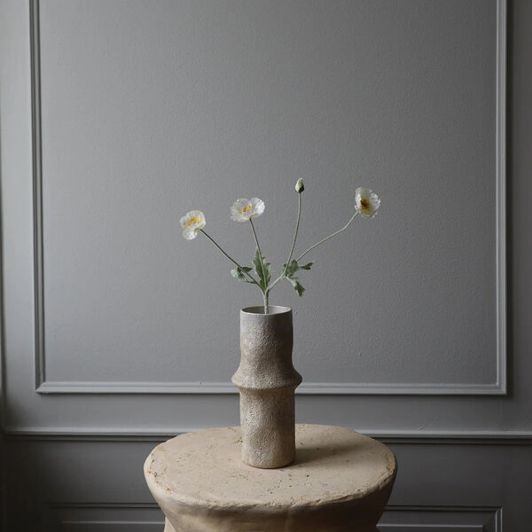 Poppy blomst, hvit, Botan&eacute;