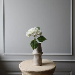 Hydrangea blomst, hvit, Botan&eacute;