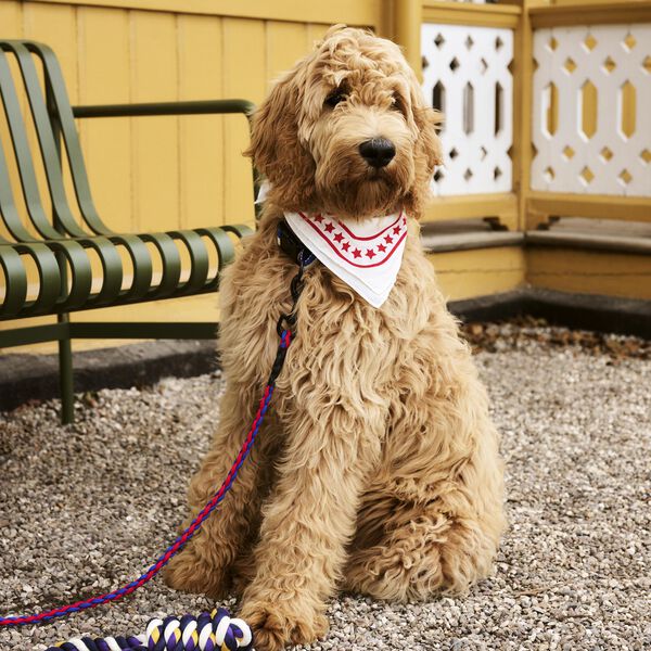 HAY Dogs Skjerf, off-white, HAY