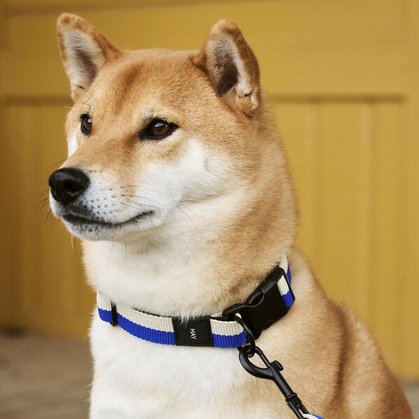 HAY Dogs Halsb&aring;nd Flat, blue/off-white, HAY