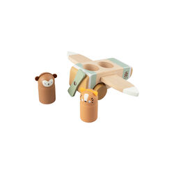 Wildlife Sebra fly, Sebra