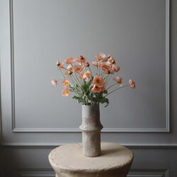 Poppy blomst, korall, Botan&eacute;