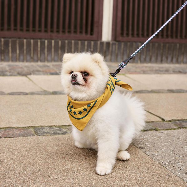 HAY Flettet Hundeb&aring;nd, lavender/green, HAY