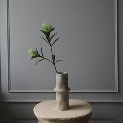 Skimmia Berry Branch, hvit, Botan&eacute;