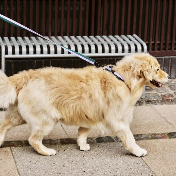 HAY Hundeb&aring;nd, lavender/green, HAY