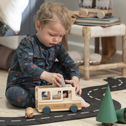 Wildlife Sebra buss, Sebra