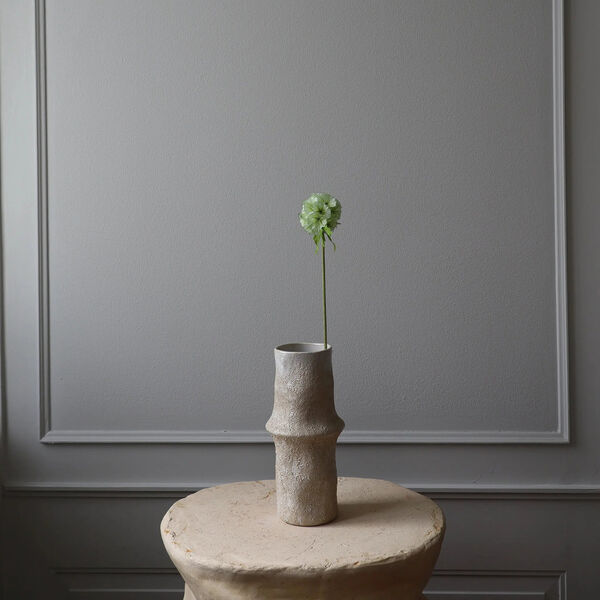 Scabiosa Seed Pod blomst, lysegr&oslash;nn, Botan&eacute;