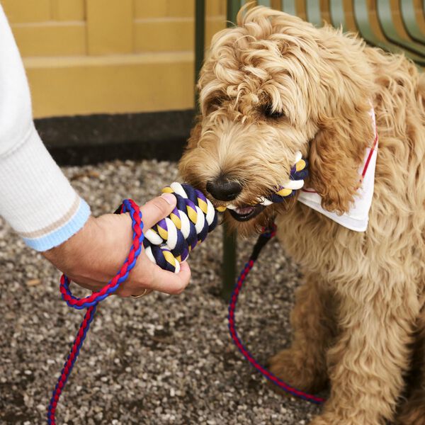 HAY Flettet Hundeb&aring;nd, red/blue, HAY