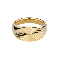 Reflection Signet ring, gull, Jane K&oslash;nig