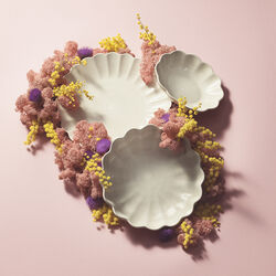 Oyster sk&aring;l 18x16 cm, white, Mateus