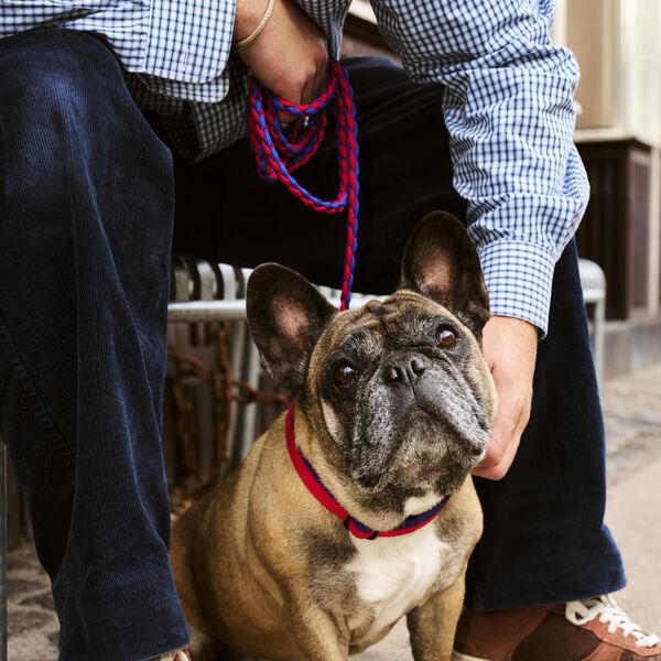 HAY Flettet Hundeb&aring;nd, red/blue, HAY