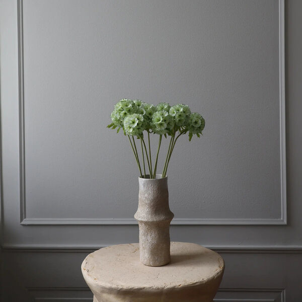 Scabiosa Seed Pod blomst, lysegr&oslash;nn, Botan&eacute;