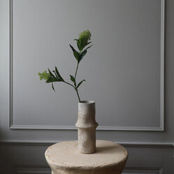 Skimmia Berry Branch, gr&oslash;nn, Botan&eacute;