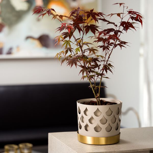 Trio Drop urtepotte medium, Klong