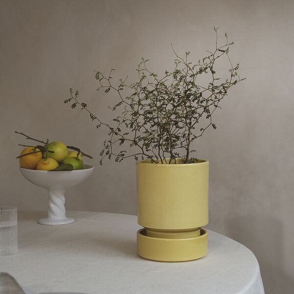 Hoff GLAZED potte, pale yellow, Bergs Potter