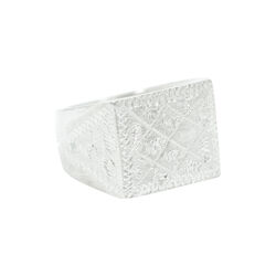 Fatou ring, s&oslash;lv, Demba Oslo