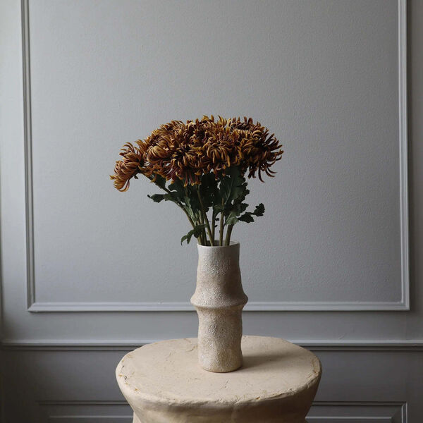 Semi-Cactus Dahlia blomst, brun, Botan&eacute;