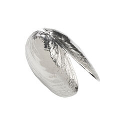 Sj&oslash;mat skje, Anovi