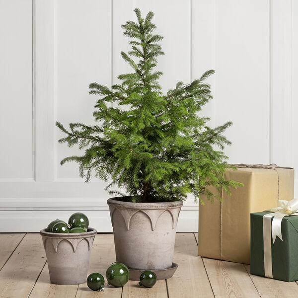 Elizabeth RAW potte med underfat, grey, Bergs Potter